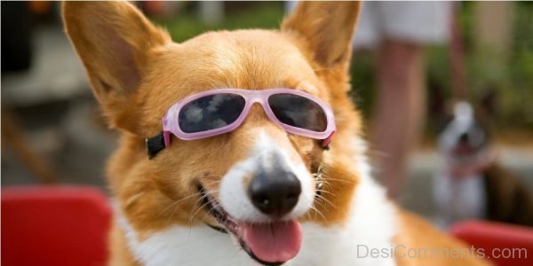 Funny Image