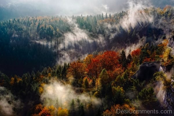 Germany Mountains Fog Autumn Fall Forest Trees