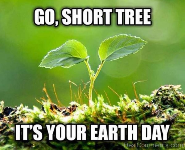 Go Short Tree Its Your Earth Day