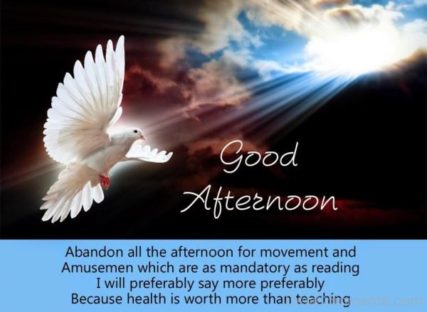 Good Afternoon – Abandon All The Afternoon For Movement