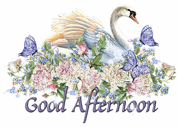 Good-Afternoon-Swan-Glitter