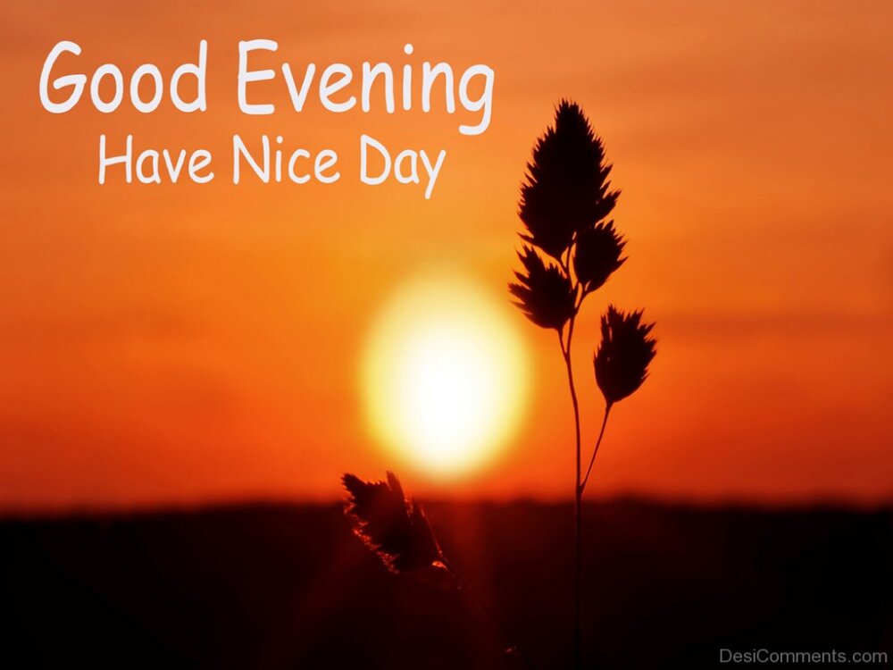 Good Evening Have Nice Day - DesiComments.com
