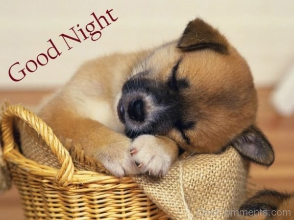 Good Night – Image