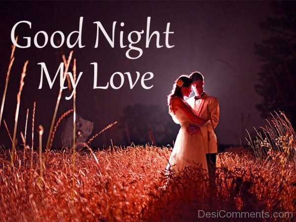 Good Night My Love