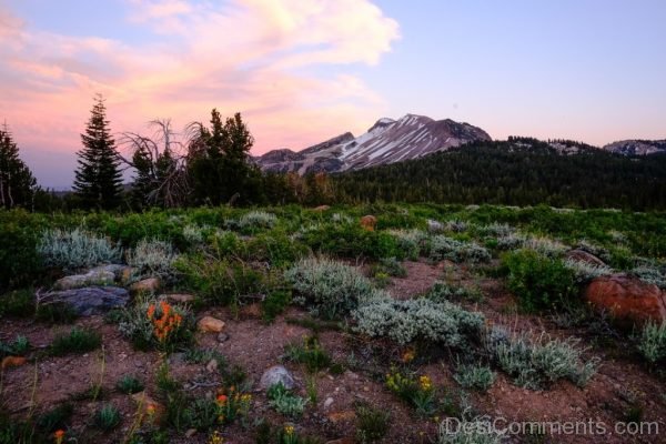 Grass Landscape Mountain