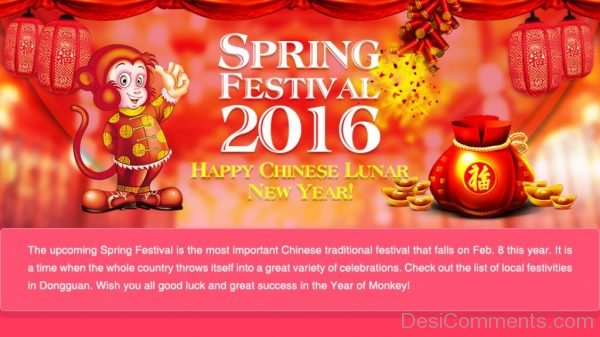 Happy Chinese Lunar New Year