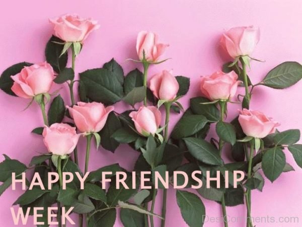 Happy Friendship Week Wishes With Flowers
