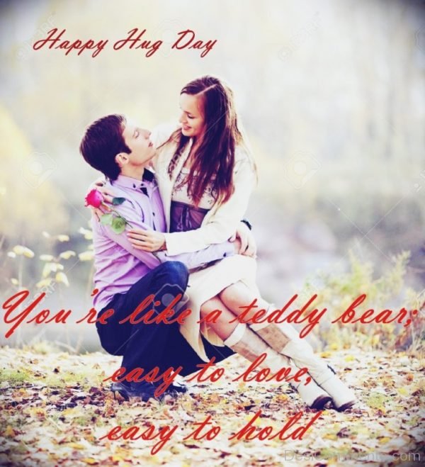 Happy Hug Day You Are Like Teddy Bear