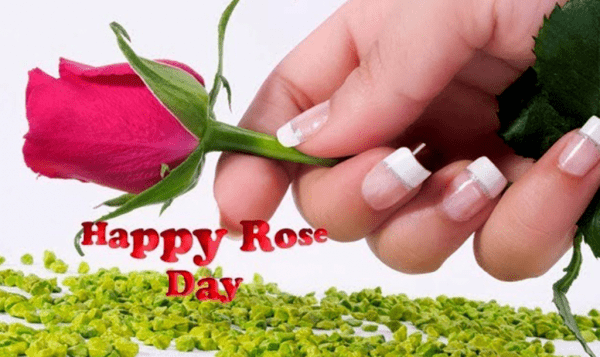 Happy Rose Day Adorable Image