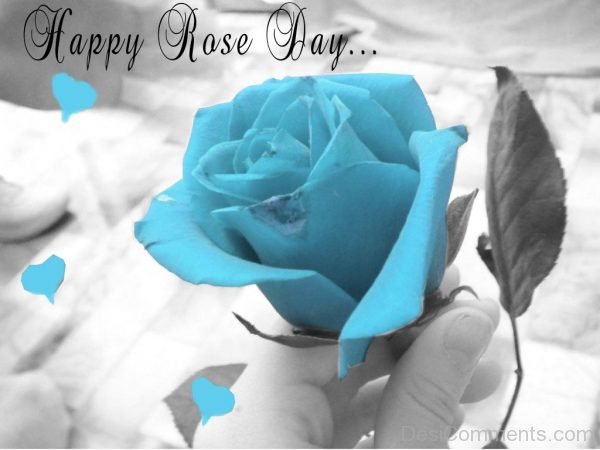 Happy Rose Day Blue Image