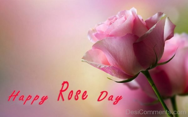 Happy Rose Day Cute Pic