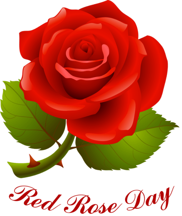 Happy Rose Day Garceful Pic