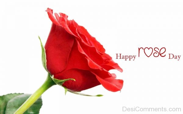 Happy Rose Day Nice Picture