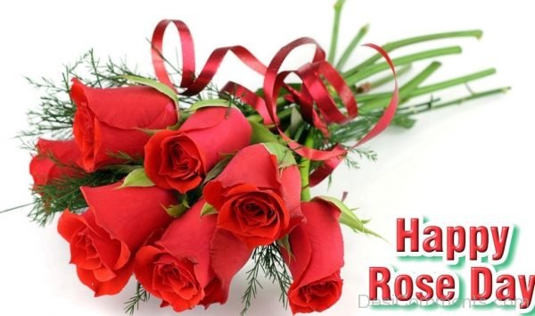 Happy Rose Day Pic