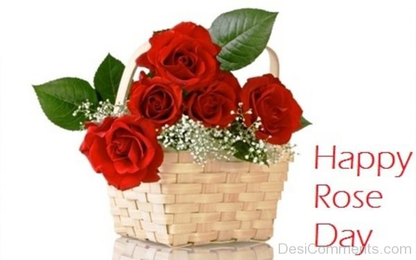 Happy Rose Day Picture