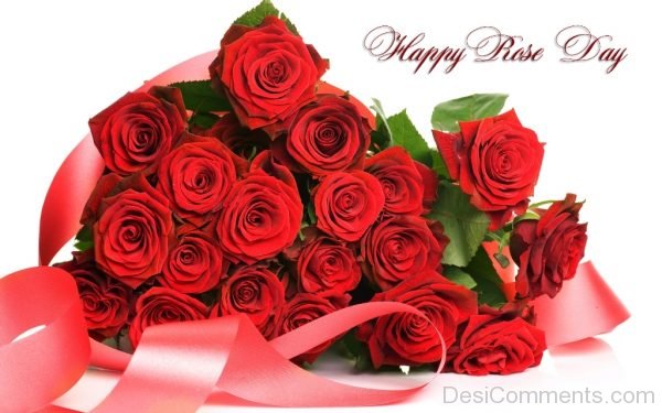 Happy Rose Day Stunning Image