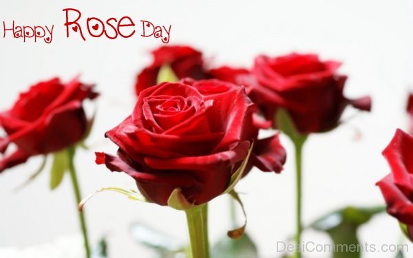 Happy Rose Day Wallpaper