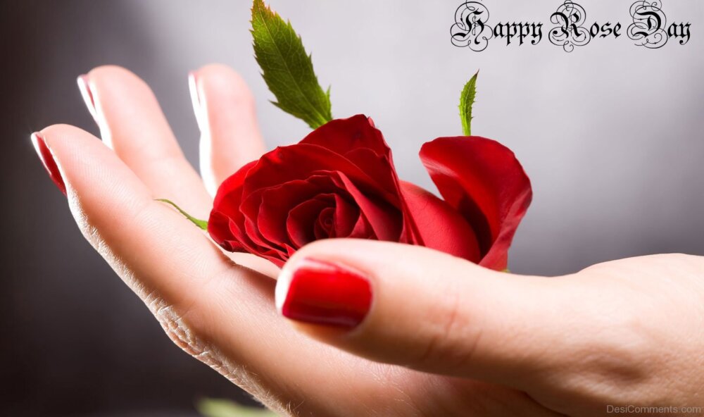 Beautiful Happy Rose Day Picture 