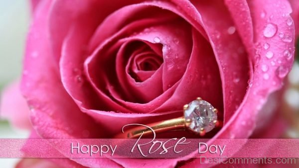 Happy Rose Day With Pink Rose