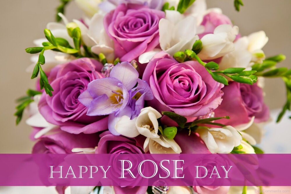 Happy Rose Day With Pink Rose Picture 
