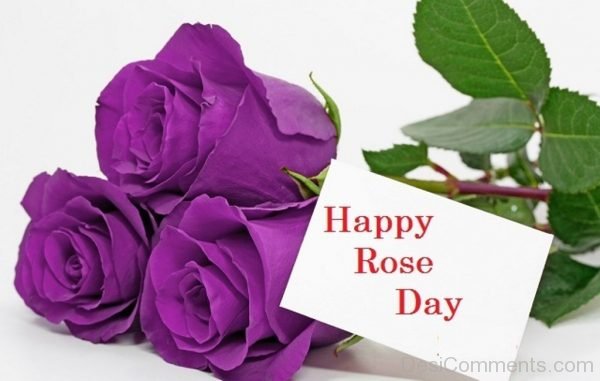 Happy Rose Day With Purple Rose