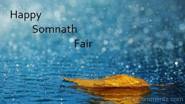 Happy Somnath Fair