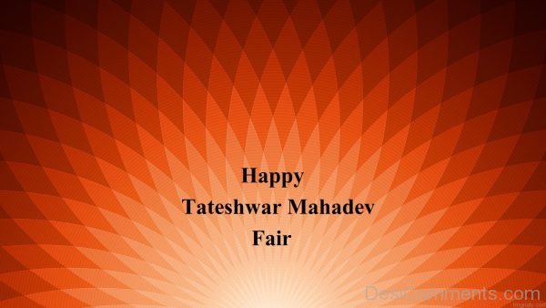 Happy Tateshwar Mahadev Fair