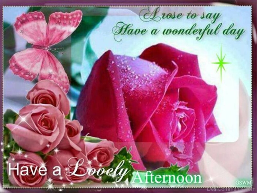 Have A Lovely Good Afternoon - DesiComments.com