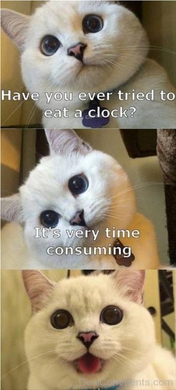 Have You Ever Tried To Eat A Clock