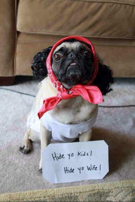 Hide Yo Kids