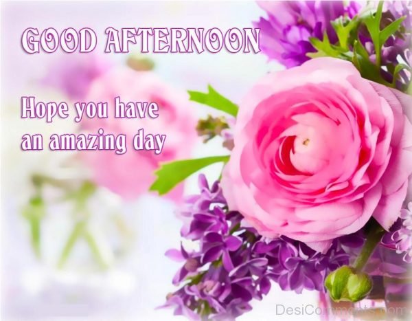 Hope You Have An Amazing Day – Good Afternoon