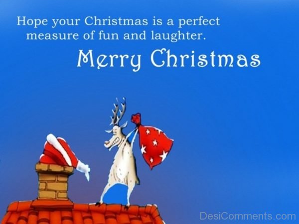 Hope Your Christmas Is A Perfect Measure Of Fun And Laughter