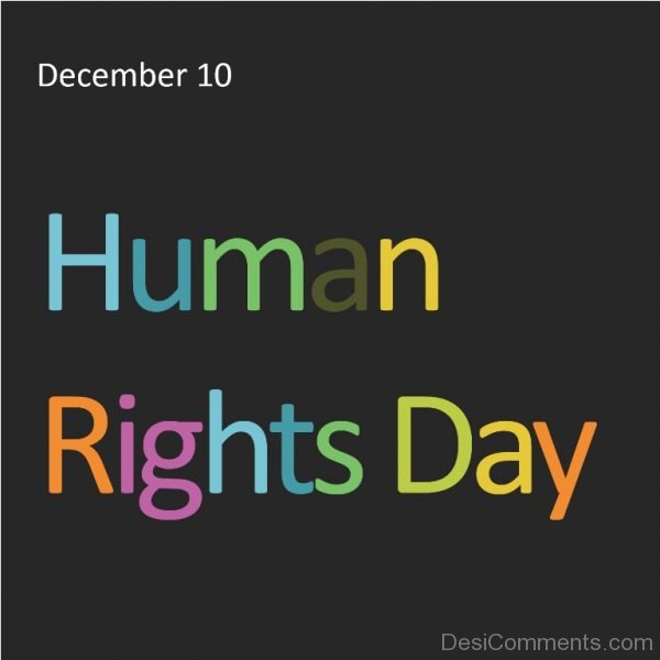 Human Rights Day Image