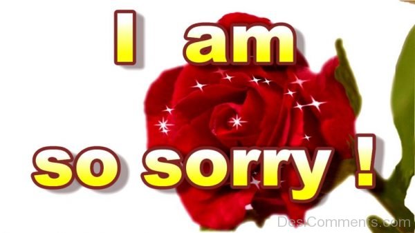 I Am Sorry !