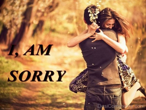 I Am Sorry Image