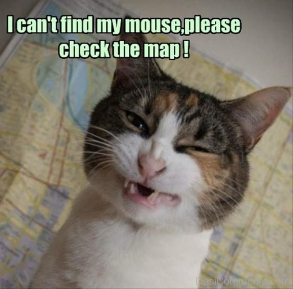 I Cant Find My Mouse Please Check The Map