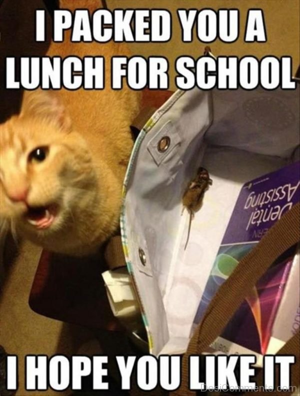 I Packed You A Lunch For School