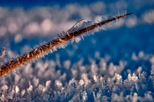 Ice Hoarfrost Frost Crystals Macro