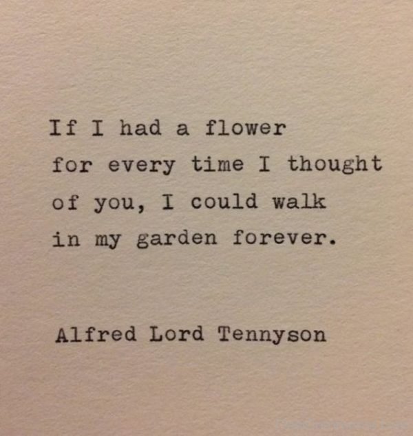 If I Had A Flower For Every Time