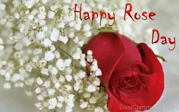 Image Of Happy Rose Day