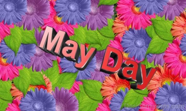 Image Of May Day
