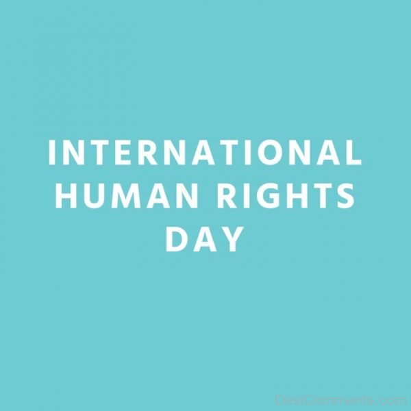 Image Pic Of Human Rights Day