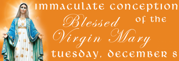 Immaculate Conception Blessed Of The Virgin Mary