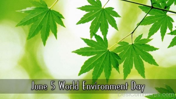 June 5th World Environment Day