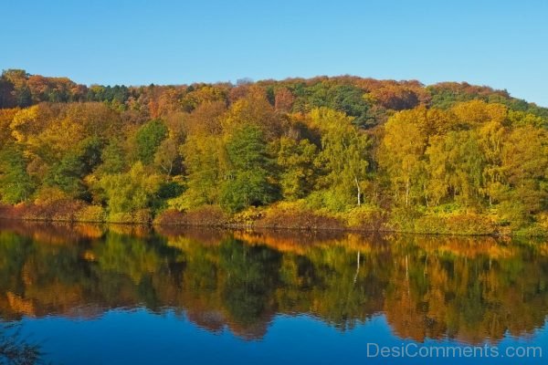 Lake Autumn Nature Trees Landscape