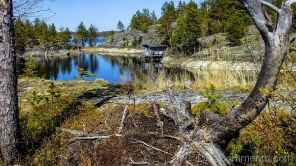 Lake Landscape Water