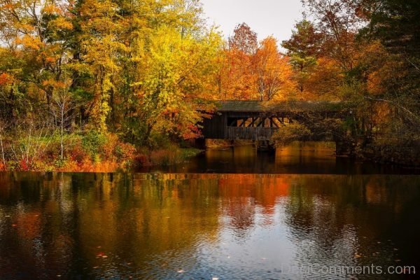 Lake Water Reflections Landscape