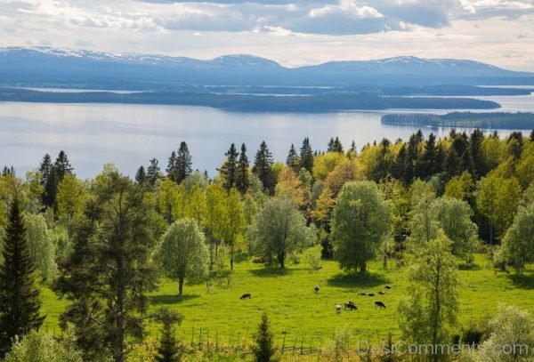 Landscape Mountains Sweden View Nature