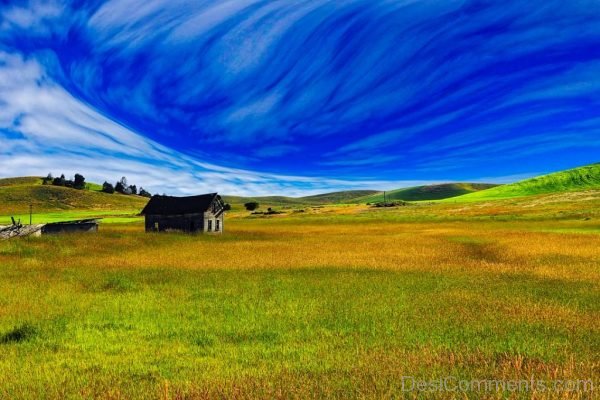 Landscape Scenic Meadow Field