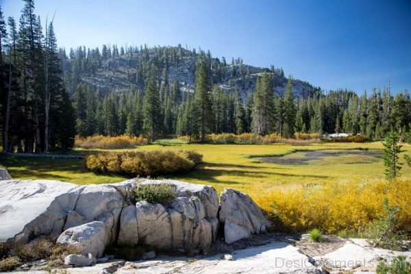 Landscape Vally Rocks Swamp Pond